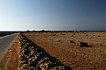 Isola di Favignana-15